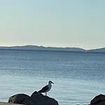 Les Salins De Vue Exceptionnelle Superbe T2 De 55m2