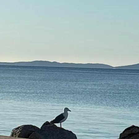 Les Salins A Vue Exceptionnelle Superbe T2 De 55m2