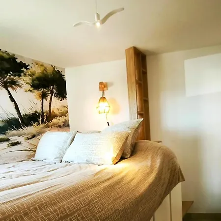 Les Salins A Vue Exceptionnelle Superbe T2 De 55m2 アパート