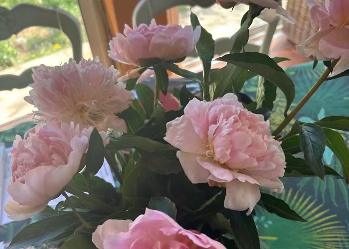 Les Salins De Vue Exceptionnelle Superbe T2 De 55m2 Lejlighed Hyères