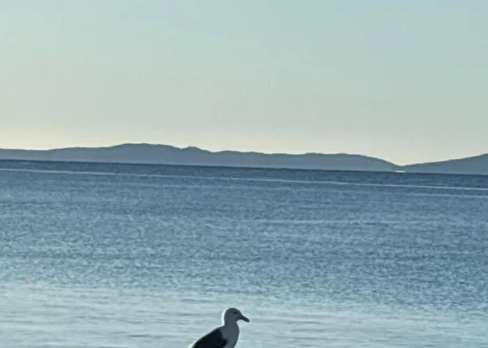 Les Salins De Vue Exceptionnelle Superbe T2 De 55m2